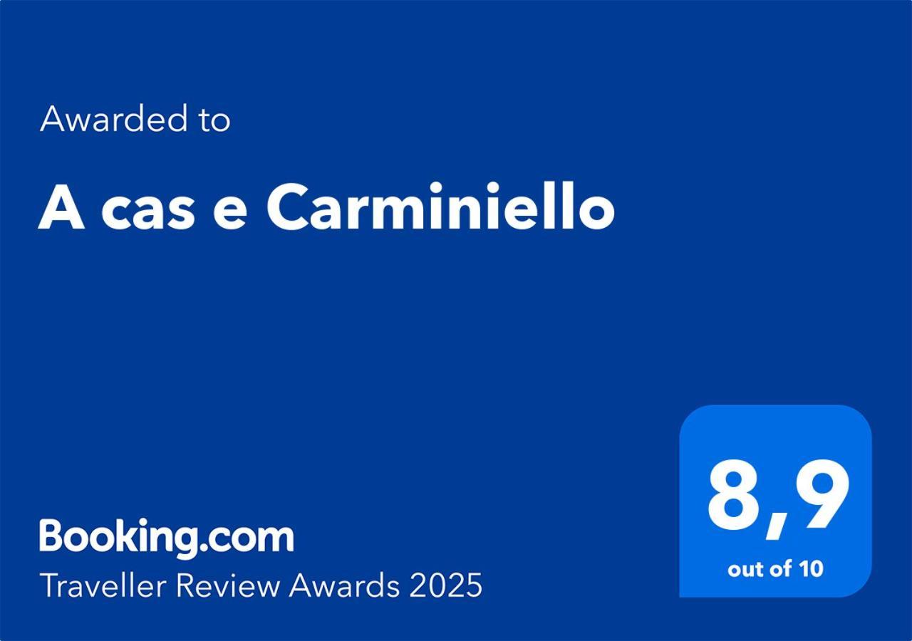 那不勒斯A Cas E Carminiello公寓 外观 照片